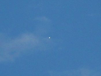 立冬の空に一番星と繊月_e0175370_09393279.jpg