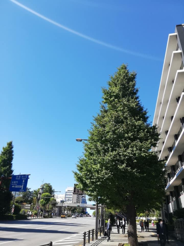今日はこんな感じに過ごしてます!_d0169072_22175440.png