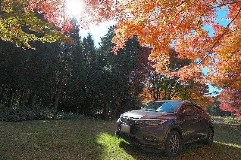 紅葉天井 _b0003512_15392066.jpg