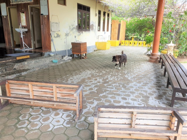 御灸は半日断食にします_c0211615_14560648.jpg