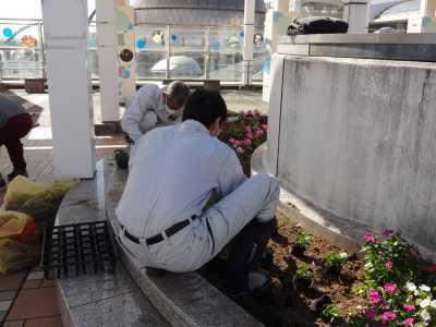 名古屋港水族館前花壇の植栽R3.11.8_d0338682_16191728.jpg