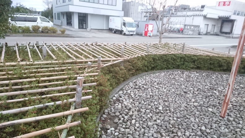 庭木の管理は大事です_f0390289_16245329.jpg