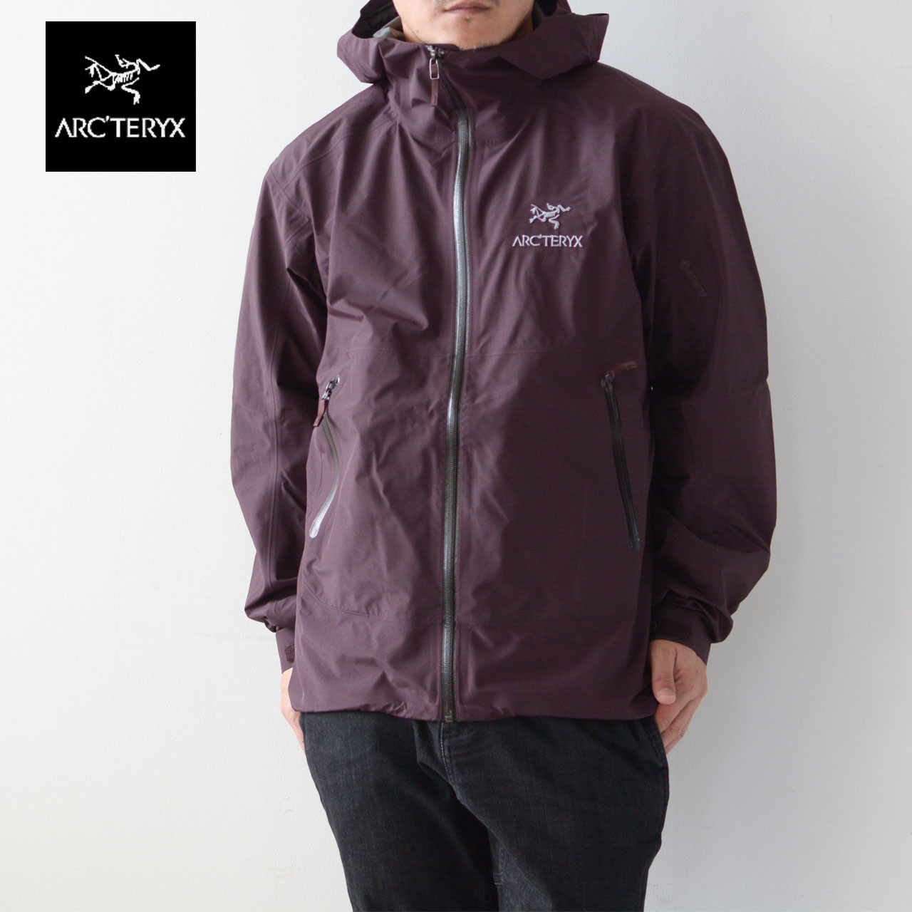 廃盤レア Arc'teryx Zeta SL jacket ゼータ | nate-hospital.com