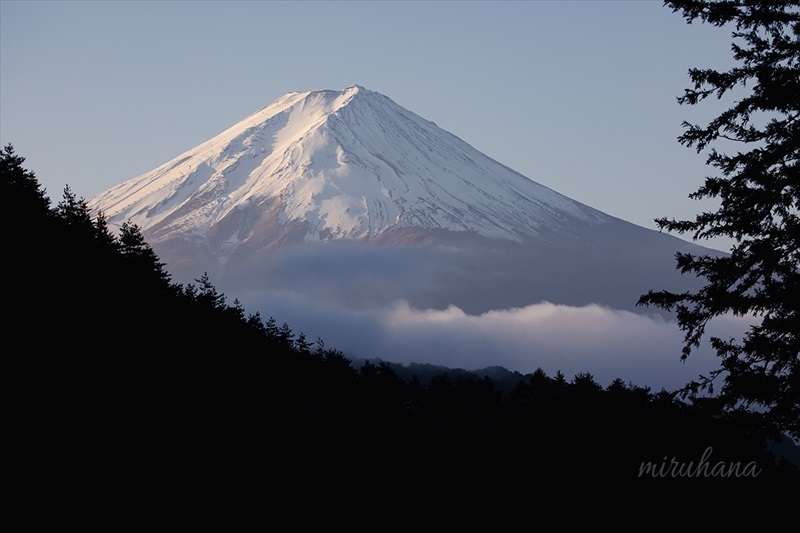 雲海と紅葉と逆さ富士。_c0037519_00341177.jpg