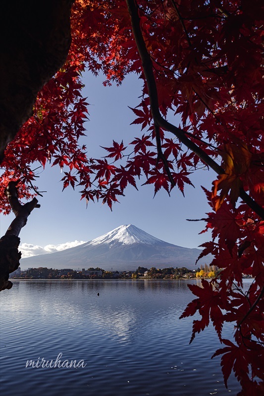 雲海と紅葉と逆さ富士。_c0037519_00383838.jpg