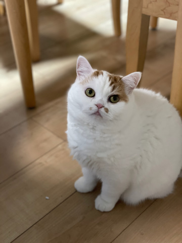 どうもありがとうございました！_b0340621_16083337.jpeg