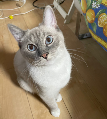 どうもありがとうございました！_b0340621_16130080.jpeg