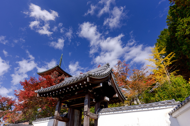2021紅葉輝く京都　洛北のお寺にて_f0155048_22161253.jpg