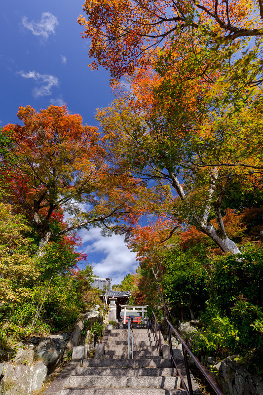 2021紅葉輝く京都　洛北のお寺にて_f0155048_22162793.jpg