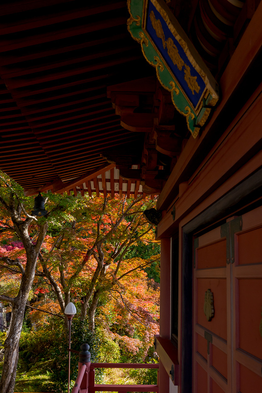 2021紅葉輝く京都　洛北のお寺にて_f0155048_22164962.jpg