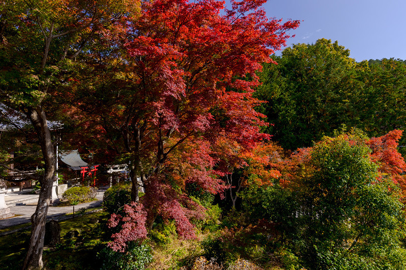 2021紅葉輝く京都　洛北のお寺にて_f0155048_22165596.jpg