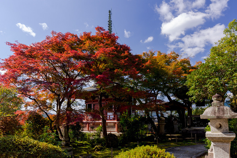 2021紅葉輝く京都　洛北のお寺にて_f0155048_22171871.jpg