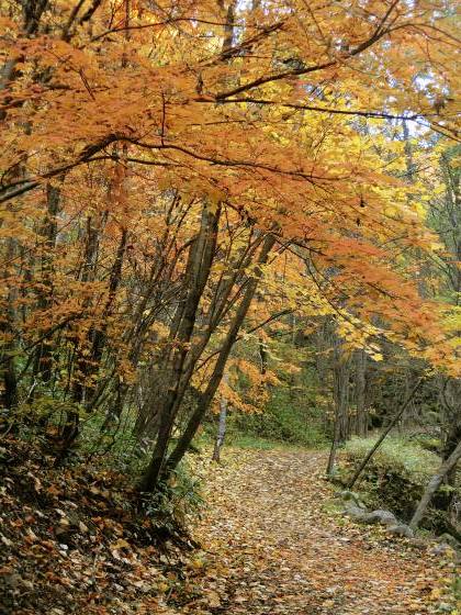 11月3日、紅葉の蓼科「横谷峡」ハイキング、1/3_e0045768_22501200.jpg