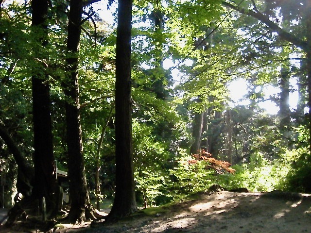 芭蕉も訪れた 笠森観音 千葉 長南町 Welcome To Koro S Garden