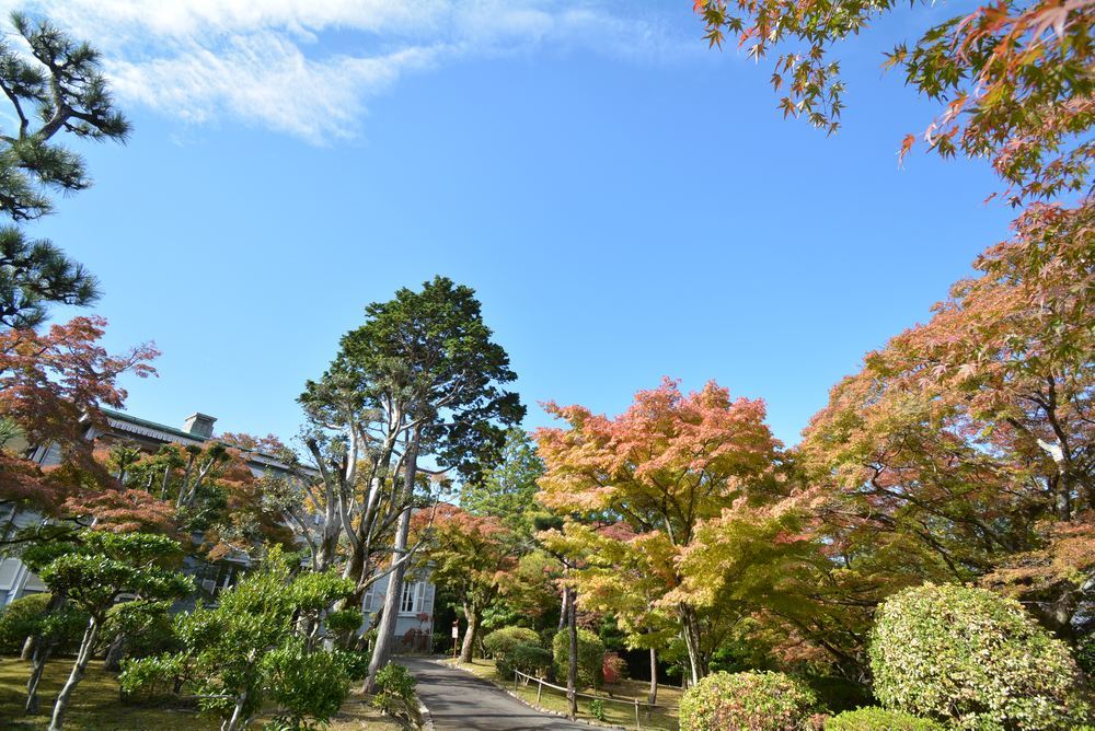 1丁目 森鴎外夏目漱石邸 紅葉の始まり_e0373930_18442992.jpg