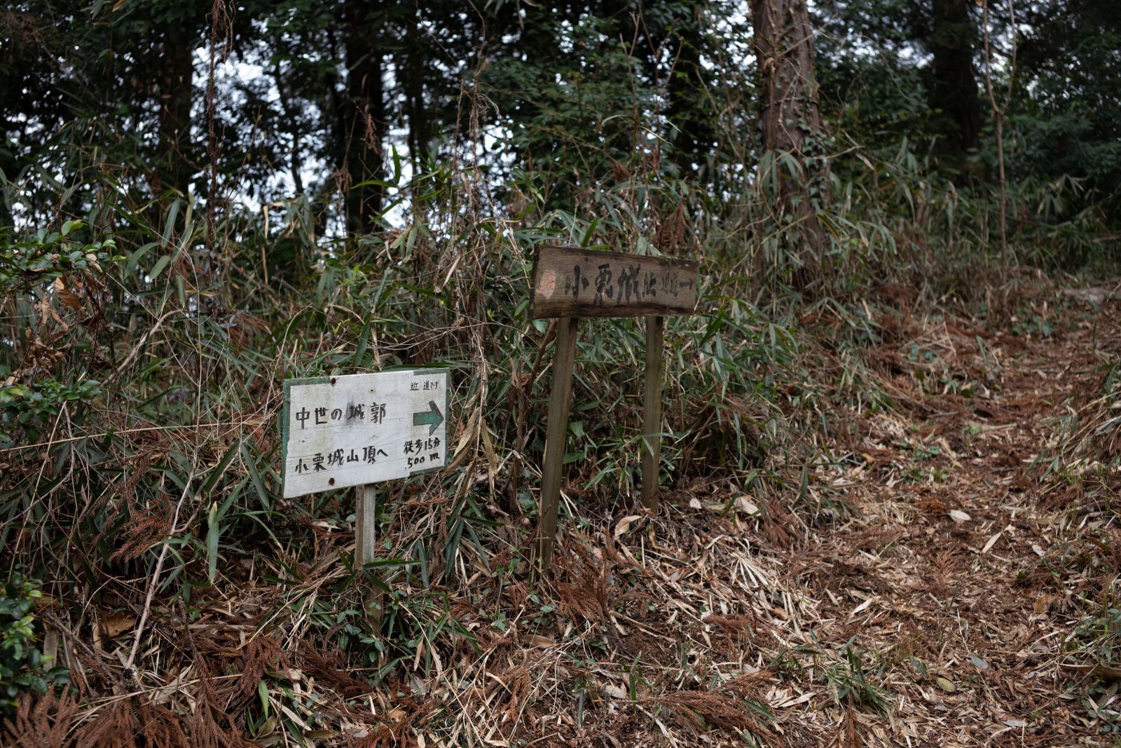 【重要文化財|内外大神宮】 行き方、見学のしかた 詳細解説 (茨城県 筑西市)_b0212342_21131222.jpg