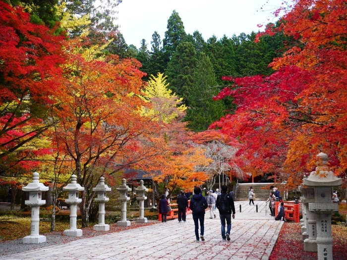 　　紅葉狩り　高野山へ ４ 　２０２１-１１-１３　００：００ 　_b0093754_15502662.jpg