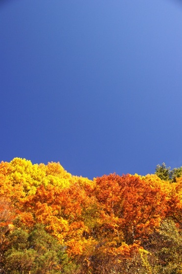 11月3日、紅葉の蓼科「横谷峡」ハイキング、2/3_e0045768_22082392.jpg