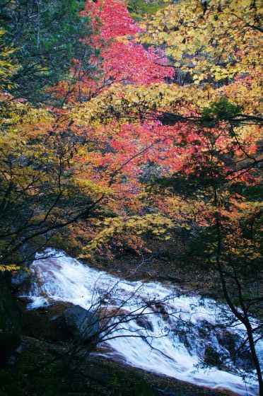 11月3日、紅葉の蓼科「横谷峡」ハイキング、2/3_e0045768_22325825.jpg