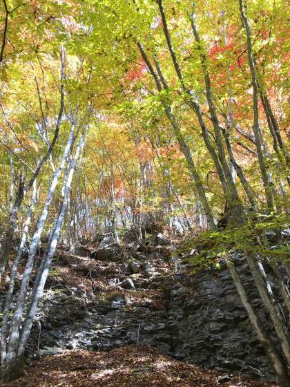 11月3日、紅葉の蓼科「横谷峡」ハイキング、2/3_e0045768_22374740.jpg