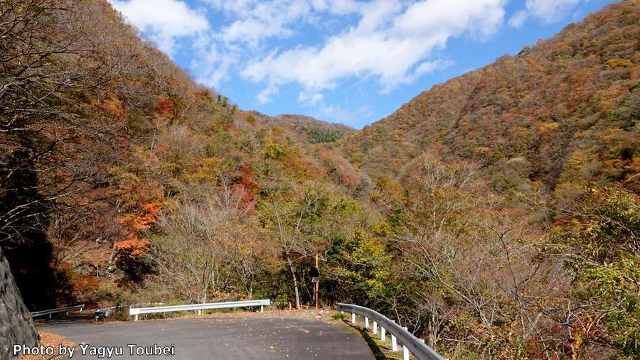 日本　背景は馬坂峠付近_b0132475_18580339.jpg