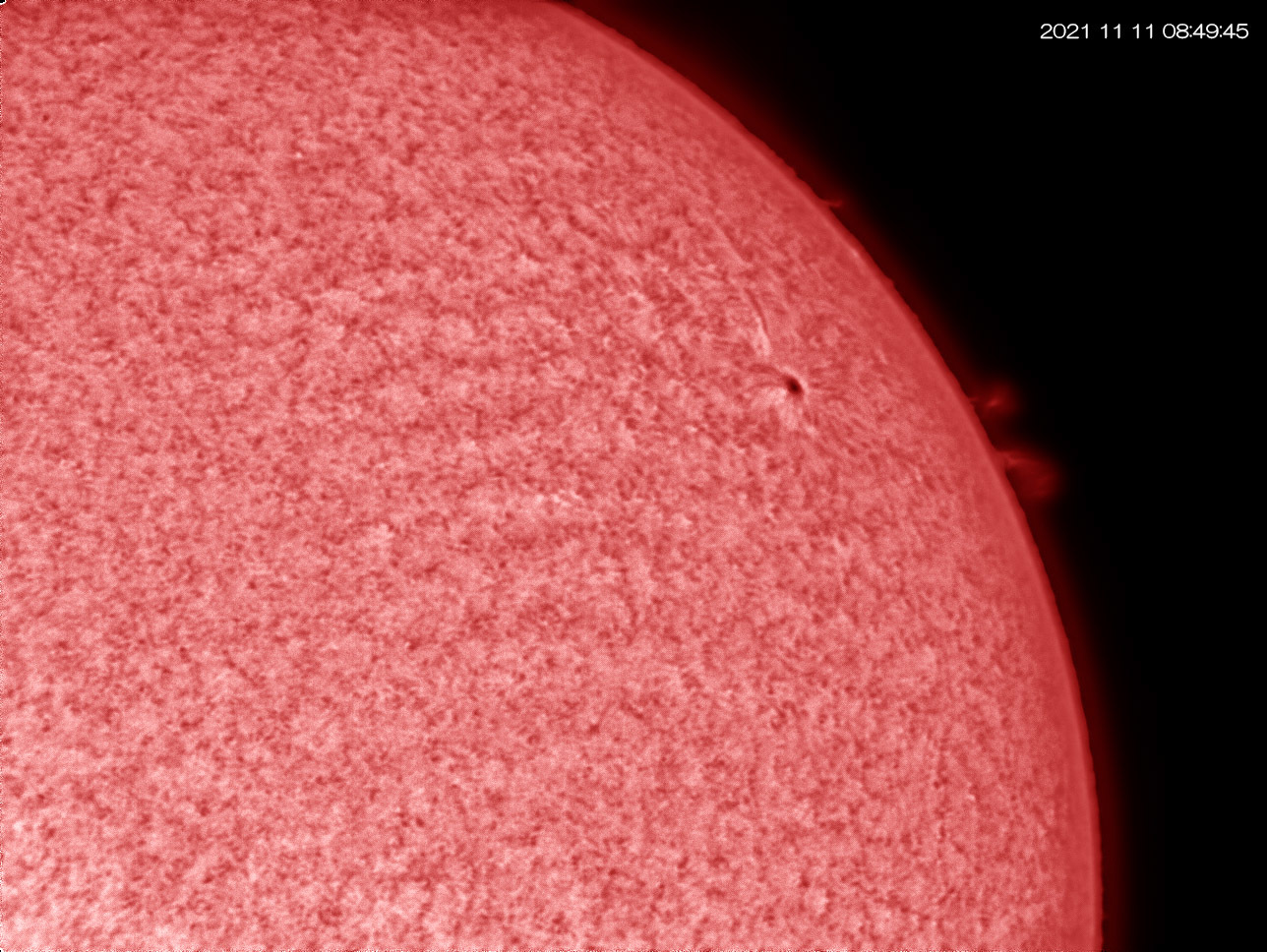11月11日の太陽_e0174091_18200564.jpg