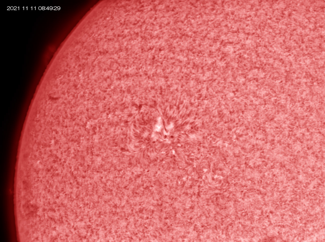 11月11日の太陽_e0174091_18200825.jpg