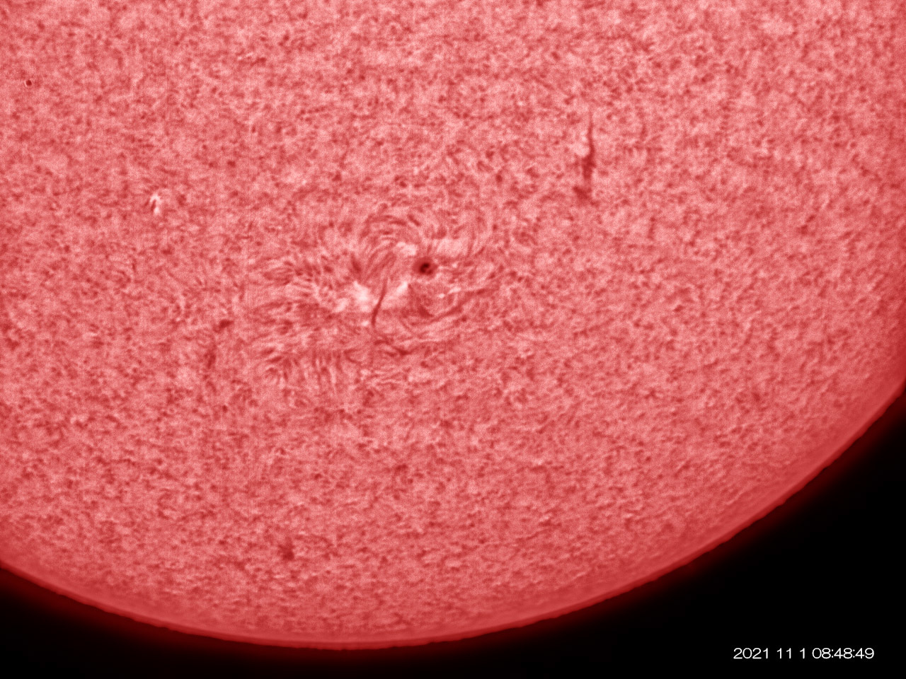 11月11日の太陽_e0174091_18201375.jpg