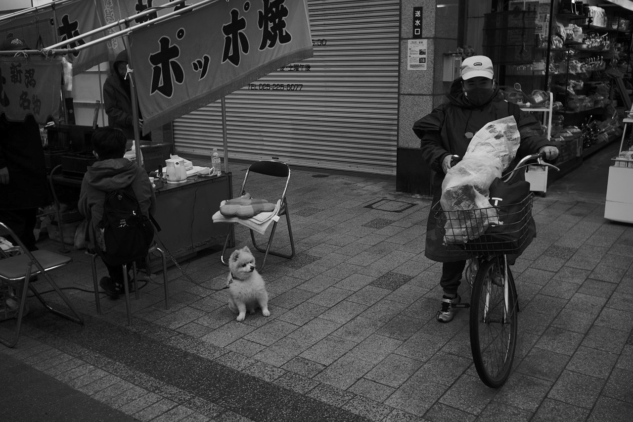 冬の予感　20211111_c0082800_17365188.jpg