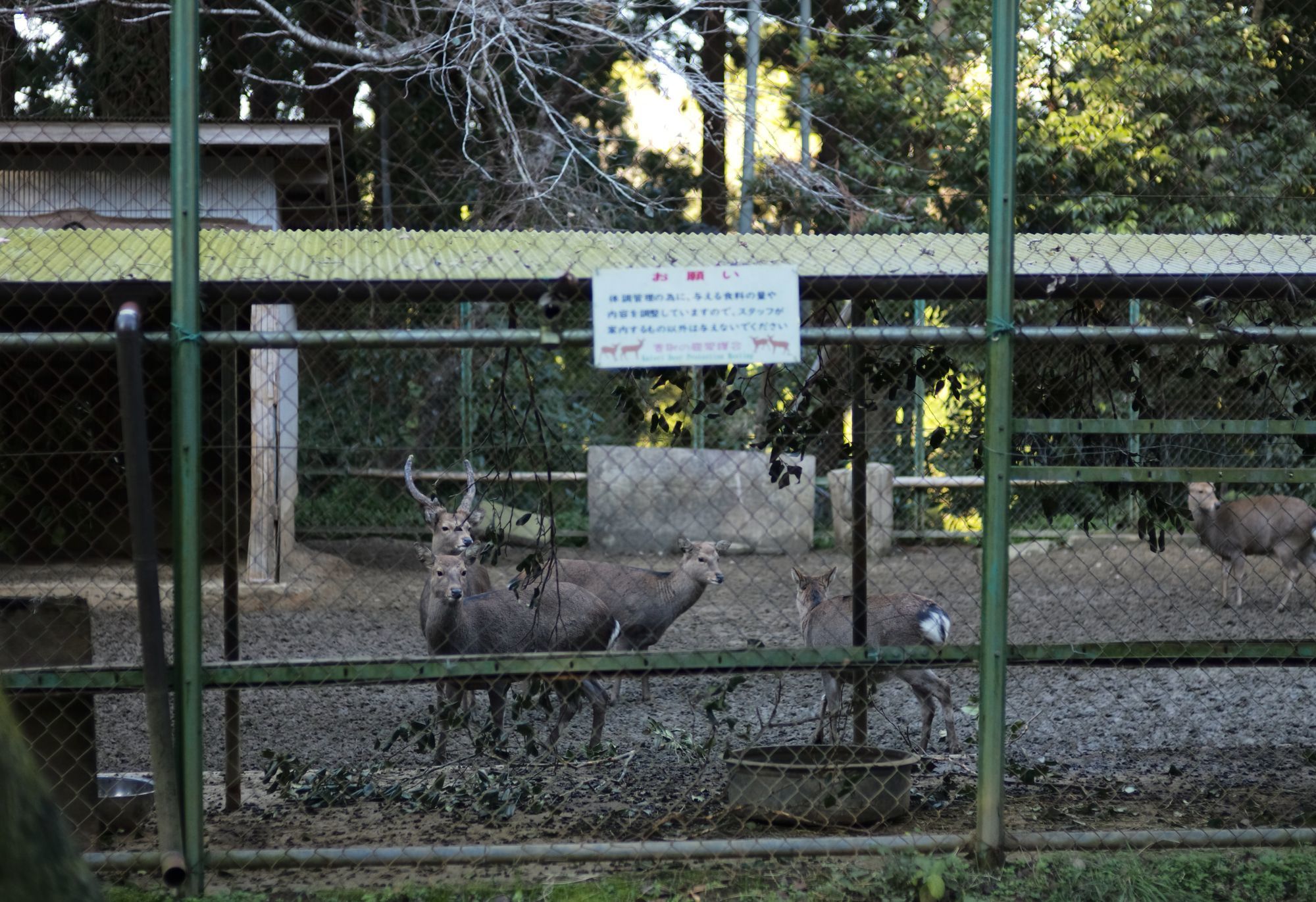 【重要文化財|香取神宮】 アクセス、境内散策スポット (千葉県)_b0212342_21183062.jpg