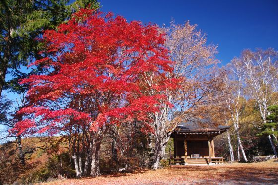 11月3日、紅葉の蓼科「横谷峡」ハイキング、2/3_e0045768_22015365.jpg