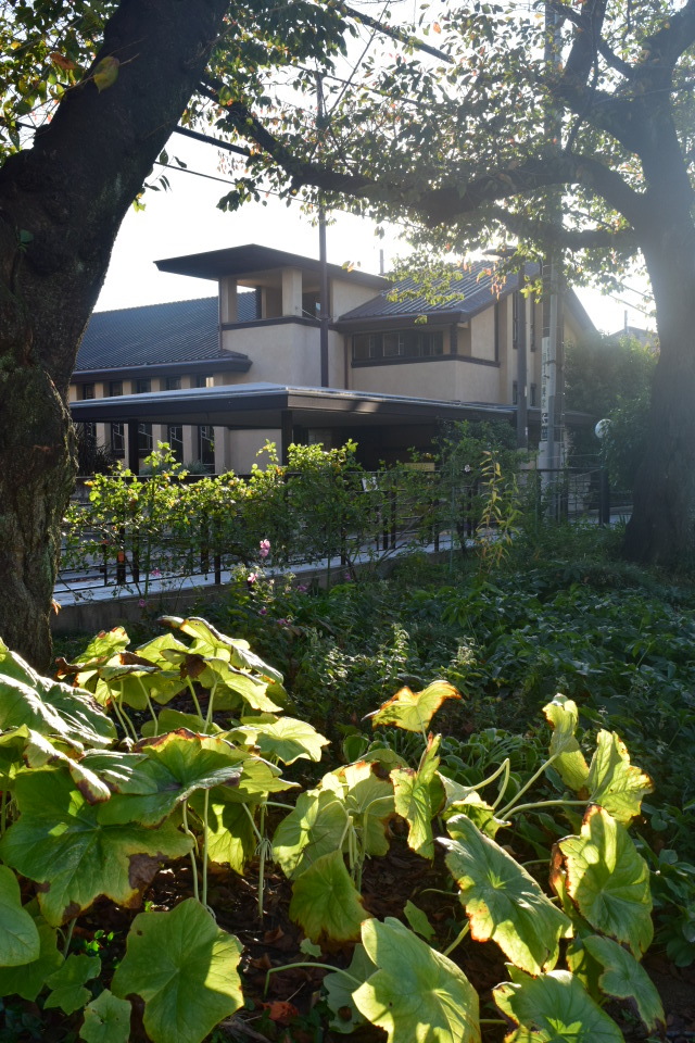 東京豊島区の自由学園講堂(昭和モダン建築再訪2021)_f0142606_09582993.jpg