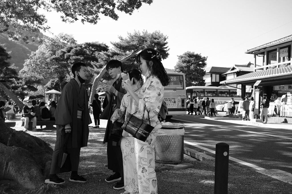 渡月橋 13_e0374932_07193454.jpg