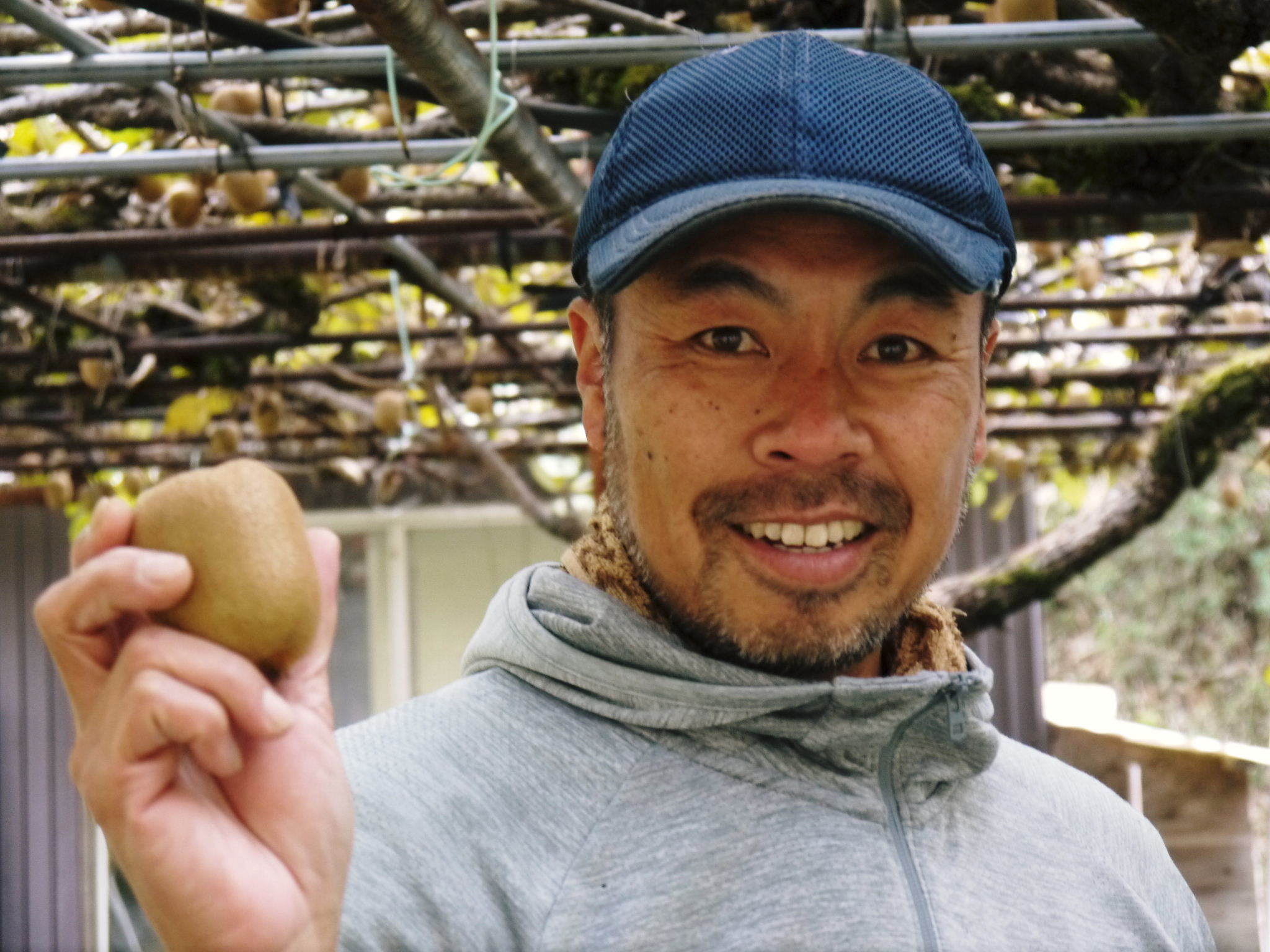 令和3年度の熊本県産『水源キウイ』予約受付スタート!無農薬・無化学肥料栽培!キウイの収穫始めました_a0254656_18152026.jpg