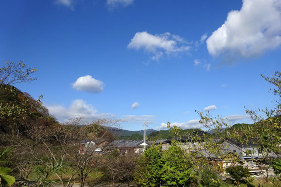 澄んだ空気に映える紅葉_b0145257_11581658.jpg