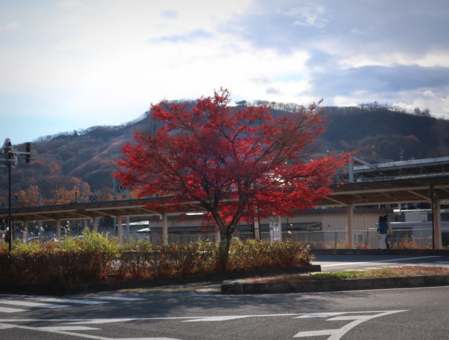 レストラン まるほん * 早朝、軽井沢駅に着いた時の朝ごはん♪_f0236260_22300075.jpg