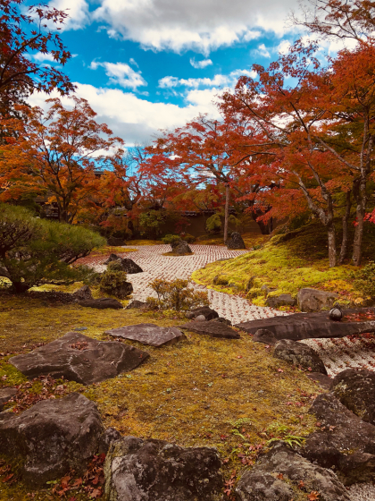 勝手に紅葉ツアー２０２１・プチ_e0355177_19084609.jpg