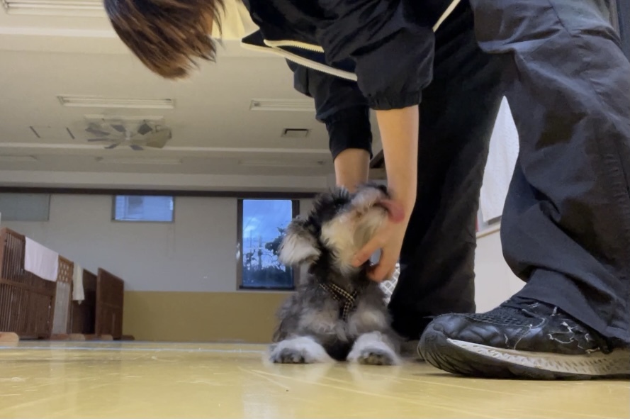 トレーニングブログ_f0357682_01240401.jpeg
