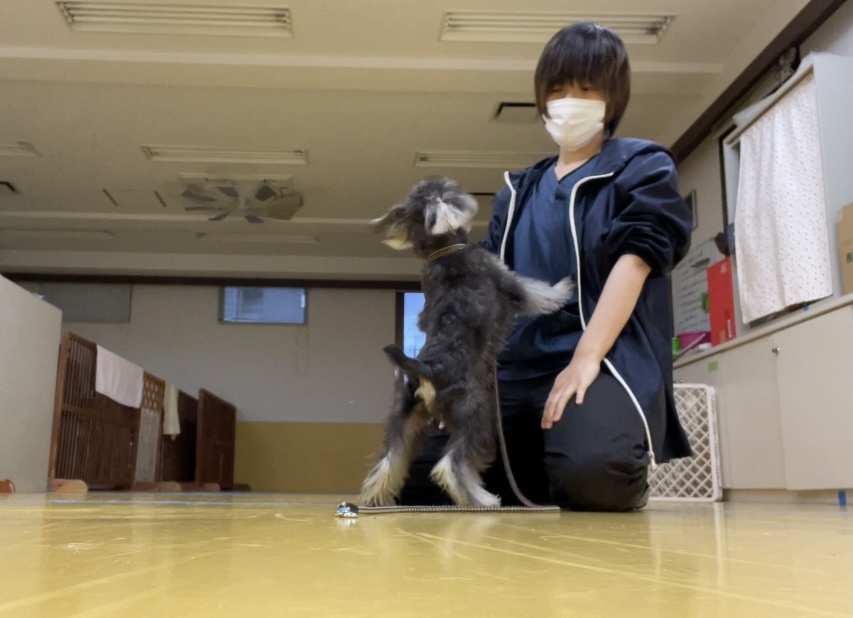 トレーニングブログ_f0357682_01252796.jpeg