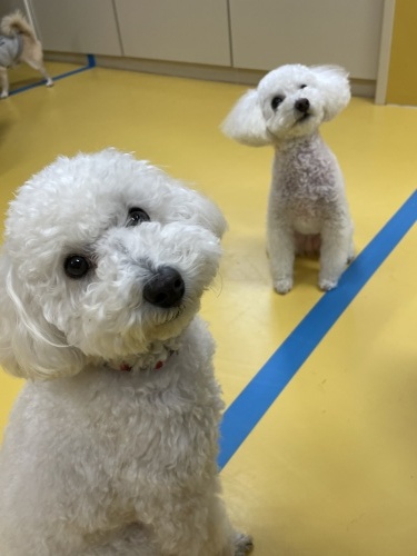 トレーニングブログ_f0357682_01265416.jpeg