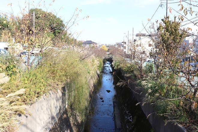 ぶらり宮前 5 平瀬川01 源流域 Teione Blog 平山 貞一