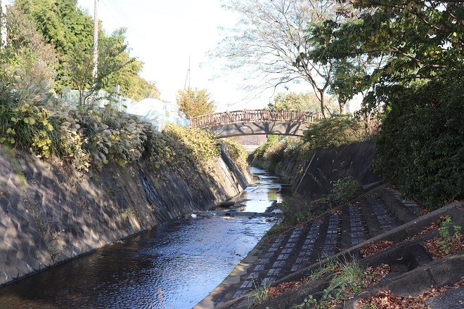 ぶらり宮前 5 平瀬川01 源流域 Teione Blog 平山 貞一