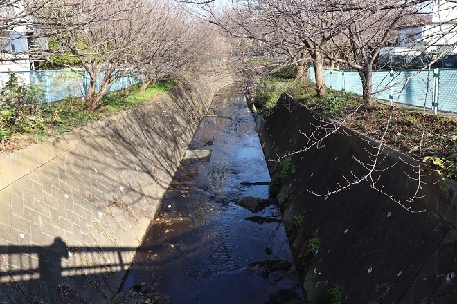 ぶらり宮前 5 平瀬川01 源流域 Teione Blog 平山 貞一