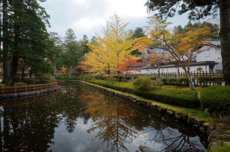 2021年和歌山の紅葉@高野山 其の二_f0032011_19523512.jpg