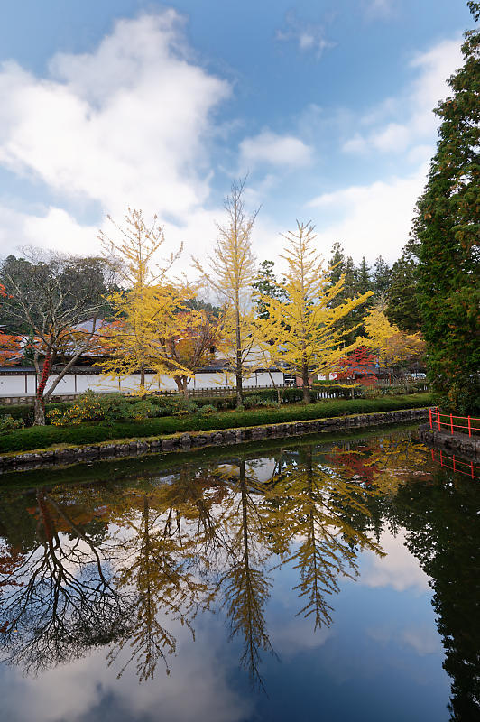 2021年和歌山の紅葉@高野山 其の二_f0032011_19523513.jpg