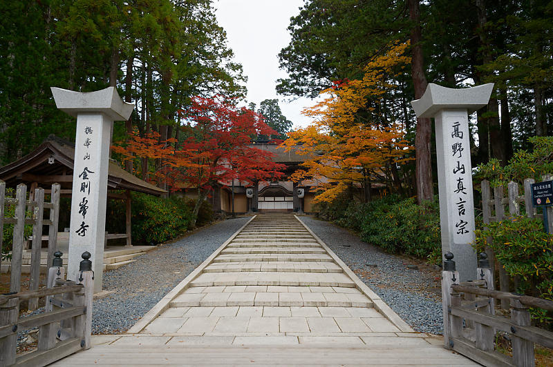 2021年和歌山の紅葉@高野山 其の二_f0032011_19523626.jpg