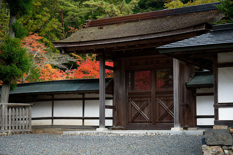2021年和歌山の紅葉@高野山 其の二_f0032011_19540622.jpg