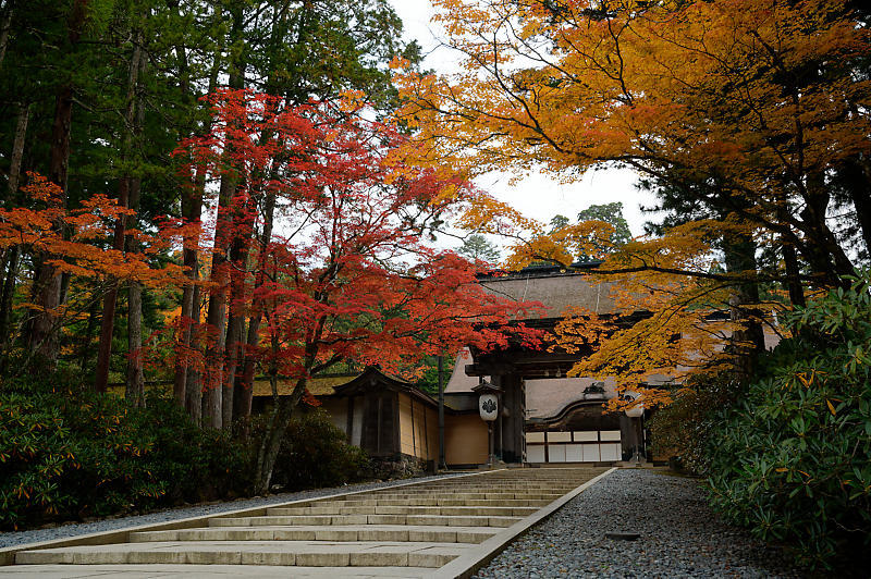 2021年和歌山の紅葉@高野山 其の二_f0032011_19540640.jpg