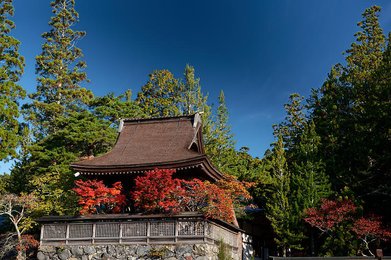 2021年和歌山の紅葉@高野山 其の二_f0032011_19540880.jpg