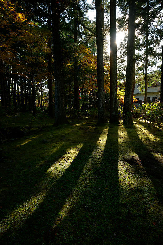 2021年和歌山の紅葉@高野山 其の二_f0032011_19551554.jpg